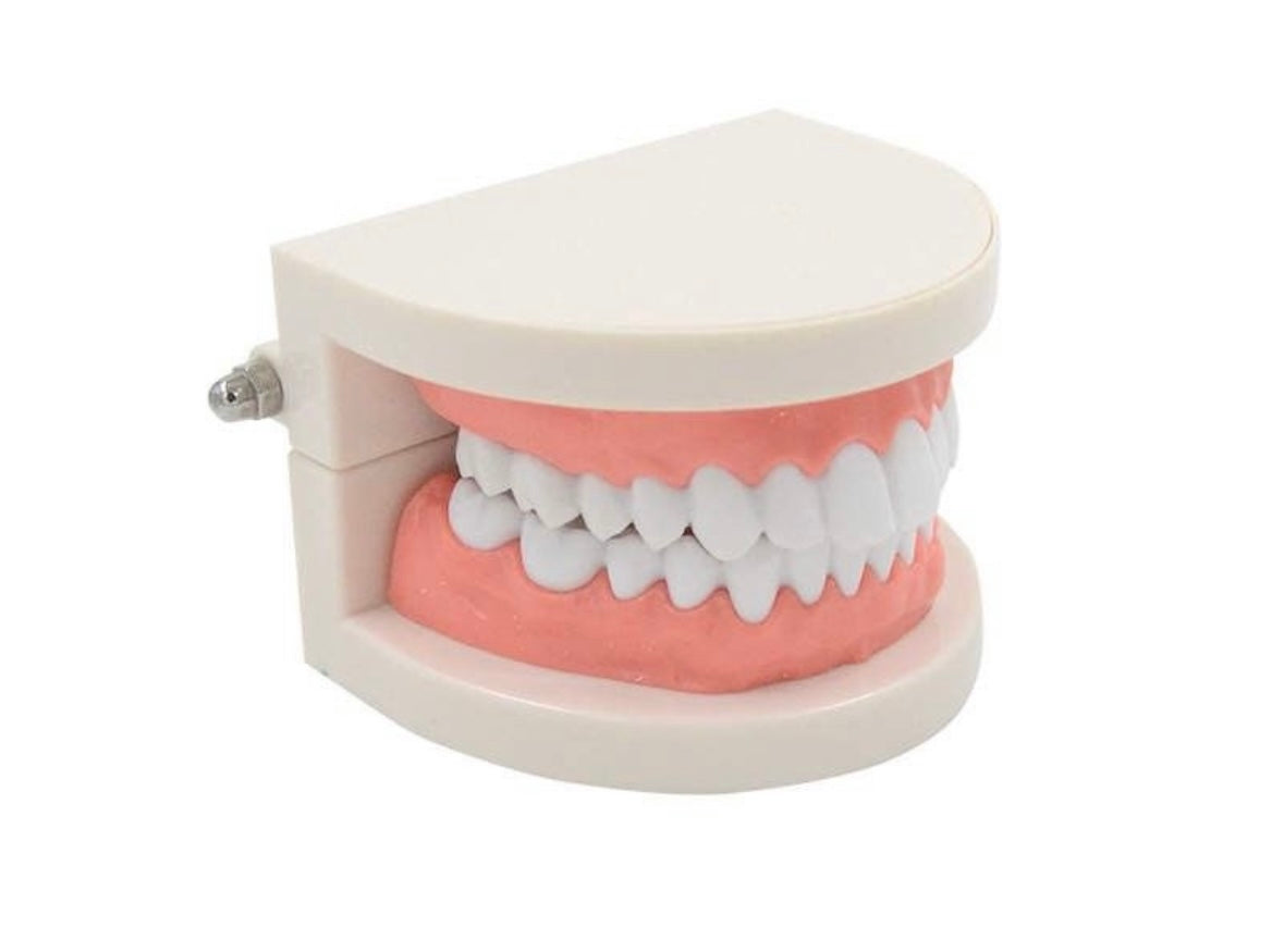 Zahnschmuck Starter Set